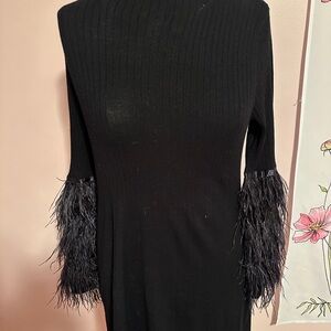 Black Dress with Feathered Sleeves